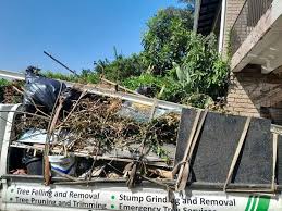 Best Residential Junk Removal  in Cherokee, IA